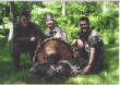 turkeyphotos/turkeykevin.jpg