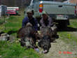 turkeyphotos/turkeyweek1005.jpg
